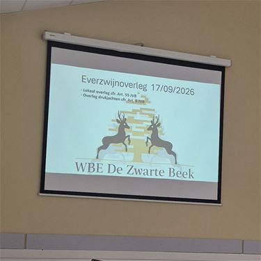Eerste overleg over aanpak everzwijnen - Beringen & Leopoldsburg