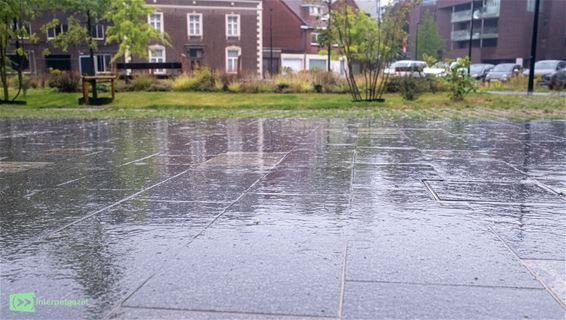 Eindelijk regen, de natuur is blij - Pelt