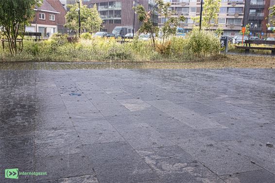 Eindelijk weer regen: natuur haalt opgelucht adem - Pelt