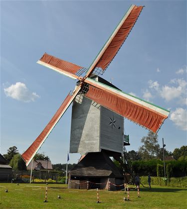Ekselse Stermolen krijgt grondige restauratie - Hechtel-Eksel