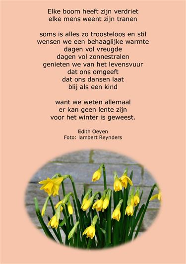 Elke boom heeft zijn verdriet - Beringen & Leopoldsburg