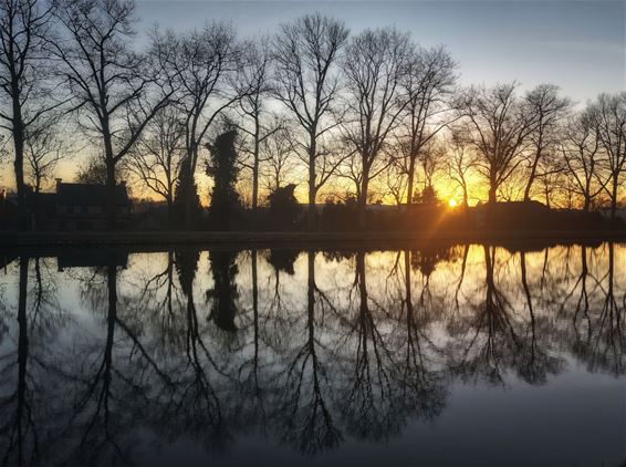 En toen ging de zon onder in Lille - Pelt