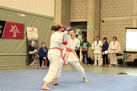 Europees kampioenschap G-karate - Lommel