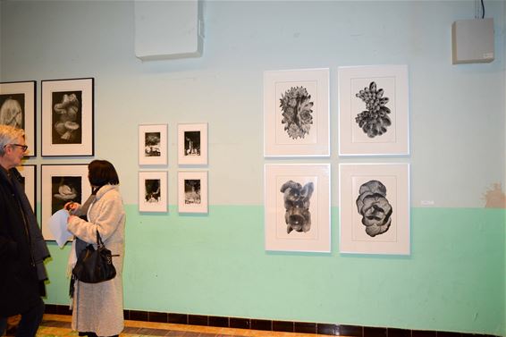 Expo 'Mijn Natuur' bij ART Lutgart - Beringen