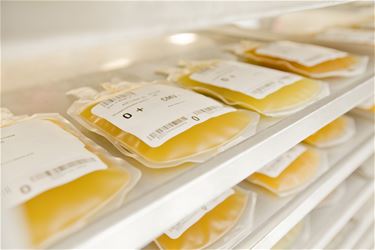 Extra plasmadonoren gezocht - Beringen & Leopoldsburg