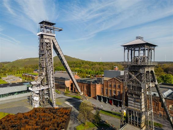 Feest- en doedag op Dag van de Vrijwilliger - Genk