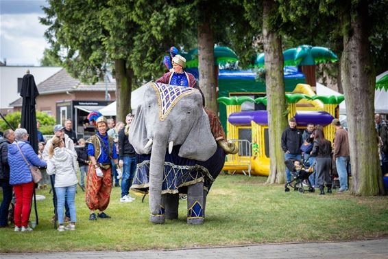 Feest onder de bomen lokte jong en oud