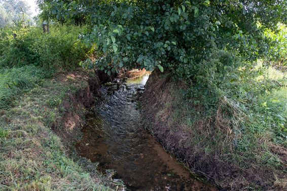 Feestdag voor Natuurpunt Meeuwen-Gruitrode-Peer - Oudsbergen