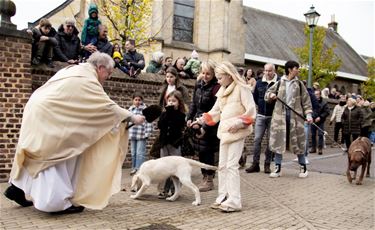Feestweekend in Neerglabbeek op komst - Oudsbergen