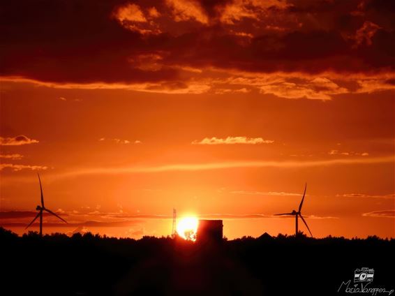 Feloranje zonsondergang - Lommel