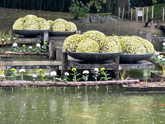 Femma Koersel bezoekt de Japanse tuin in Hasselt - Beringen