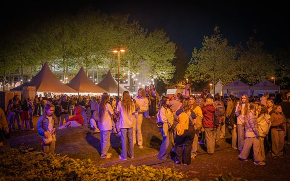 Festivalweide bruist, zonder vuurwerk - Pelt