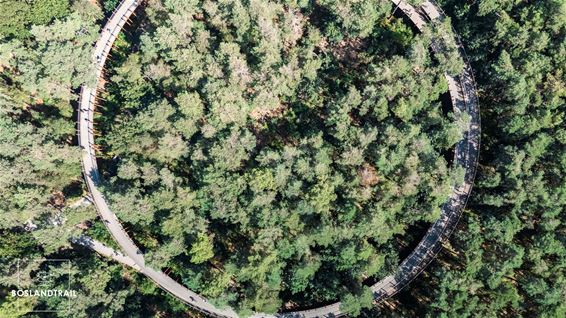 Fietsen door de Bomen afgesloten - Hechtel-Eksel