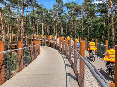 'Fietsen door de Bomen':  kaap van 1 miljoen - Hechtel-Eksel