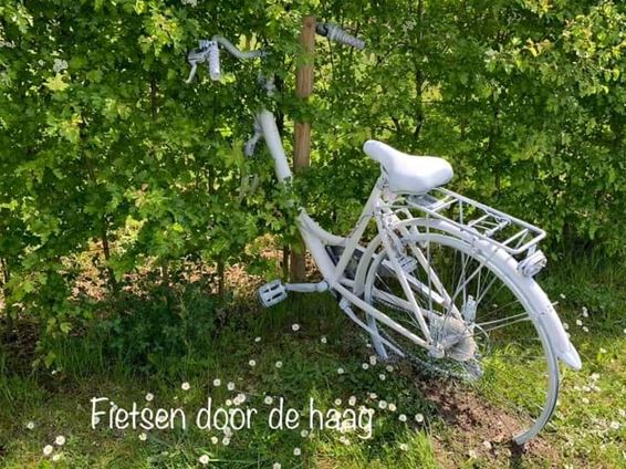 Nieuwe fietsroute in Meeuwen - Oudsbergen