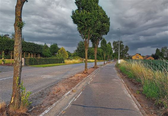 Fietspaden langs de Dommellaan worden vernieuwd - Peer