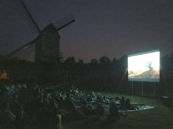 Film in openlucht in Bosland - Overpelt