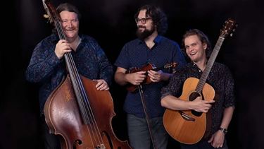 Beringen - Folkfestival Ham heeft weer toppers beet