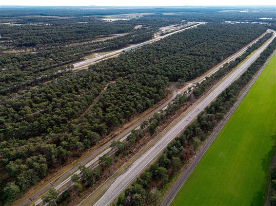 Ford-testbaan blijft verborgen motor in de bossen - Lommel
