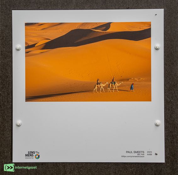 Pelt - Foto's van Paul Smeets bij Lens op de Mens