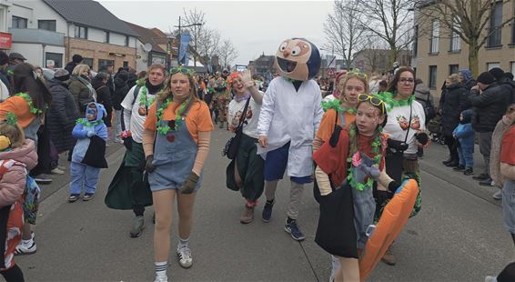 Fotoalbum van carnavalstoet Kaulille staat online