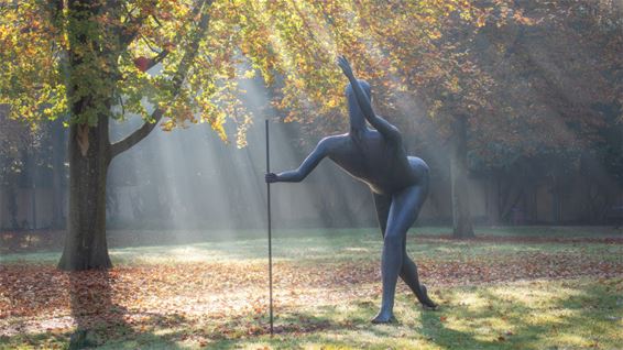 Fotografie is schrijven met licht - Lommel