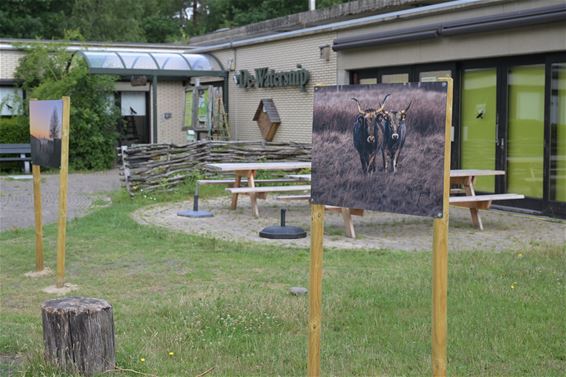 Fototentoonstelling 'Koester de Open Ruimte' - Beringen