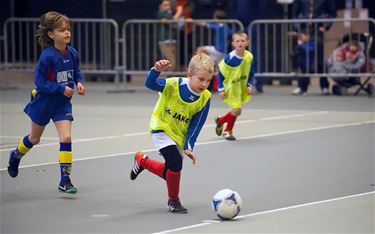 Futsal jeugdtoernooi morgen van start - Lommel