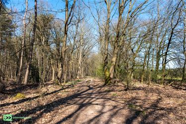 Oudsbergen - Ga je mee winterwonderwandelen?