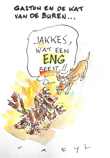 Gaston - 6 oktober '26