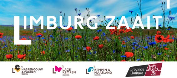 Geef jouw buurt een kleurrijke upgrade