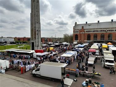 Geen MijnMarkt in Zolder - Beringen