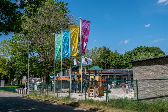 Geen speelpleinwerking op De Bosuil deze zomer - Pelt