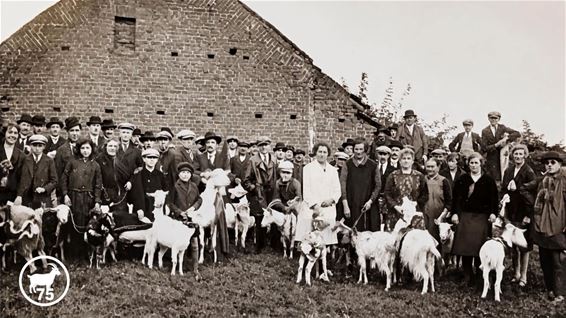 Geitenmerret viert 75ste editie - Bree