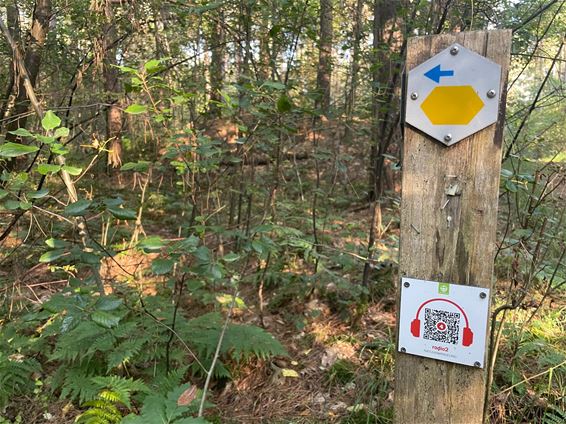 Gele wandeling Koersels Kapelleke - Beringen