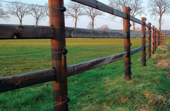 Gemeente Oudsbergen informeert over wolven - Oudsbergen