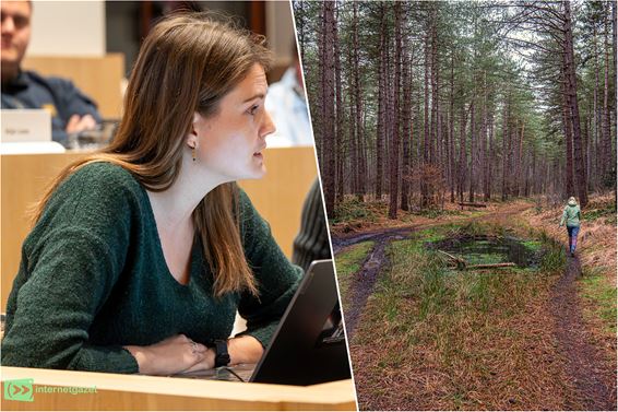 Gemeente Pelt stelt vernieuwd bomenplan voor - Pelt