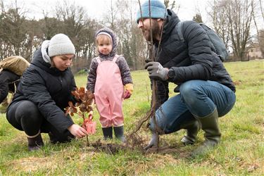 Genk plant ruim 5.000 bomen - Genk