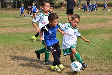 Pelt - Geslaagde Breugel Cup 2026