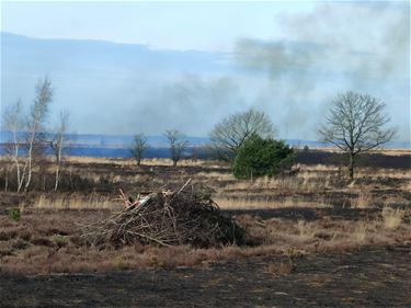 Geurhinder door brand militair domein - Lommel & Leopoldsburg