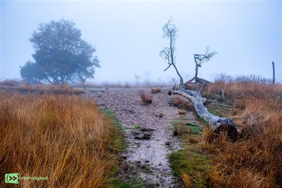 Gevaarlijk weer, mooi weer - Pelt