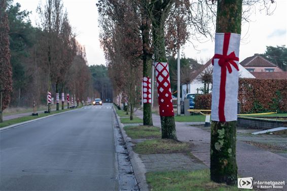 Gezellige kerstsfeer bij het Horsthutje - Lommel