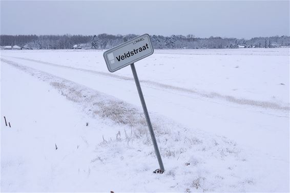Gezien op Lommel Kolonie