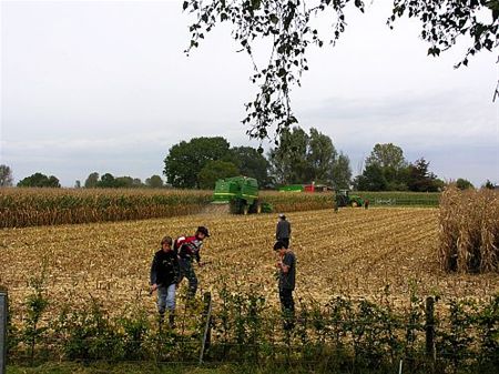 Gisteren gezien... - Hamont-Achel