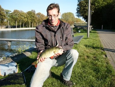 Gisteren gezien... - Neerpelt