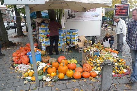 Gisteren gezien... - Lommel