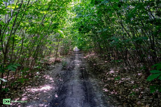 Oudsbergen - Gravelrijders doorheen Nationaal Park Hoge Kempen