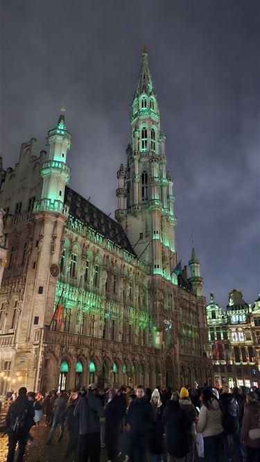 Grevenbroekers op de kerstmarkt in Brussel - Hamont-Achel