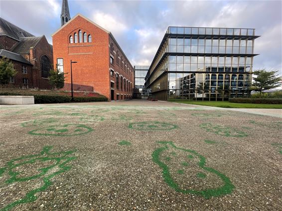 Groen kleurt plein aan stadhuis groen - Beringen