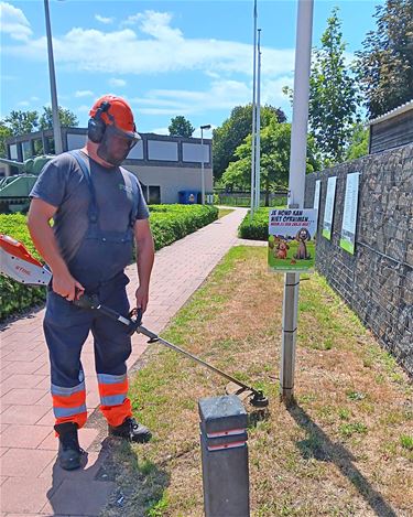 Groendienst houdt Hechtel-Eksel groen en netjes